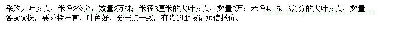 求購大葉女貞