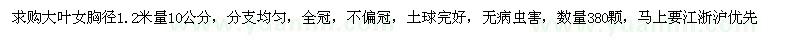 求購大葉女胸徑1.2米量10公分
