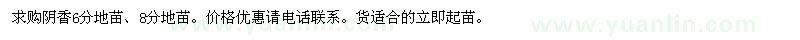 求購(gòu)陰香6分地苗、8分地苗