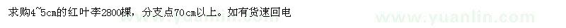 求購(gòu)紅葉李
