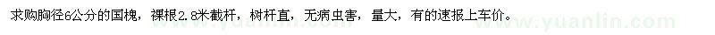 求購(gòu)胸徑6公分的國(guó)槐