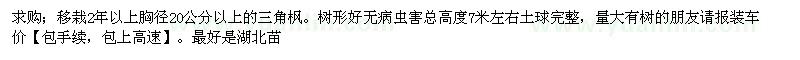 求購移栽2年以上胸徑20公分三角楓