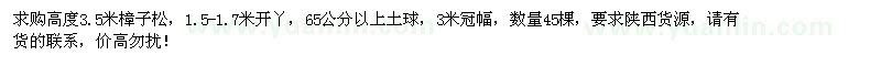 求購(gòu)高3.5米樟子松45棵