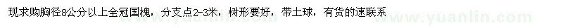求購(gòu)8公分全冠國(guó)槐