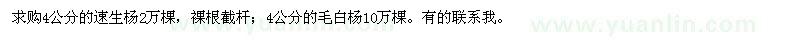 求購(gòu)4公分的速生楊,4公分的毛白楊