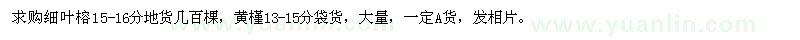 求購(gòu)細(xì)葉榕,黃槿
