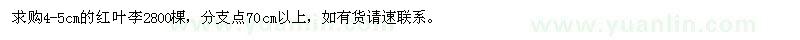 求購(gòu)4-5cm的紅葉李