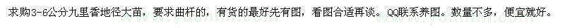 求購(gòu)3-6公分九里香地徑大苗，