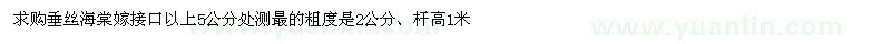 求購(gòu)垂絲海棠