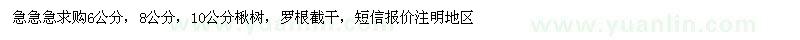 求購(gòu)6公分，8公分，10公分楸樹(shù)
