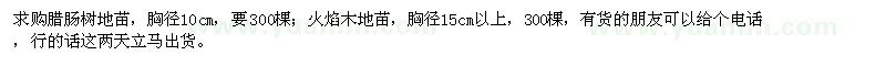 求購臘腸樹,火焰木