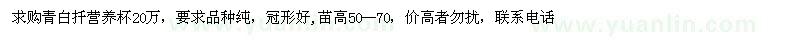 求購青白扦營養(yǎng)杯苗高50--70
