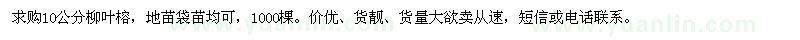 求購10公分柳葉榕