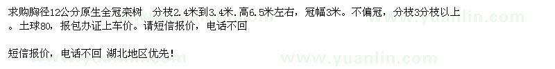 求購(gòu)胸徑12公分原生全冠欒樹(shù) 