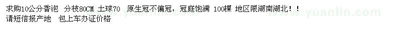 求購(gòu)10公分香泡