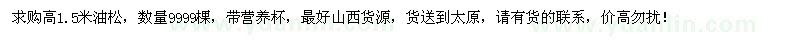 求購高1.5米油松9999棵