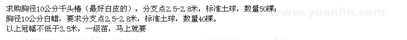 求購胸徑10公分千頭椿,白蠟