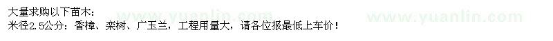 求購2.5公分香樟,欒樹,廣玉蘭