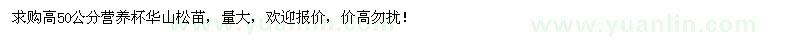 求購(gòu)高50公分營(yíng)養(yǎng)杯華山松苗