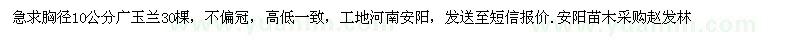 求購胸徑10公分廣玉蘭30棵