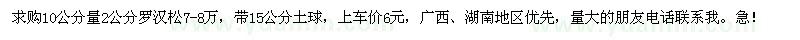 求購10公分量2公分羅漢松