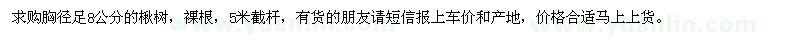 求購(gòu)胸徑足8公分的楸樹
