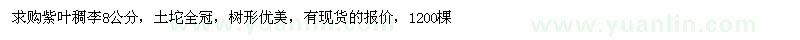 求購(gòu)紫葉稠李8公分