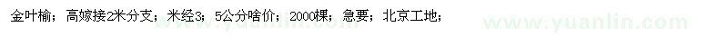 求購金葉榆2000棵
