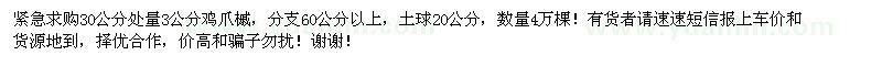 求購30公分處量3公分雞爪槭