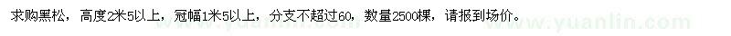 求購黑松2500棵