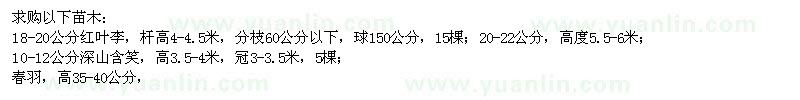 求購紅葉李、深山含笑