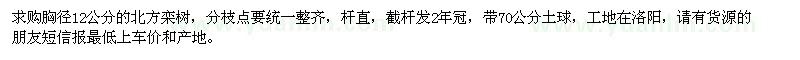 求購胸徑12公分的北方欒樹