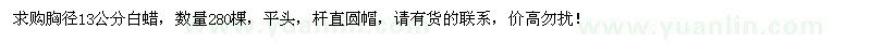 求購胸徑13公分白蠟280棵