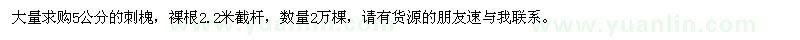 求購5公分的刺槐