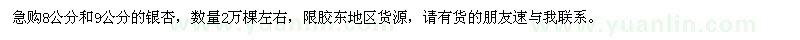 求購8公分和9公分的銀杏