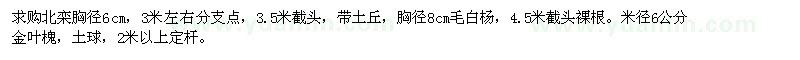 求購(gòu)北欒胸徑6cm，胸徑8cm毛白楊
