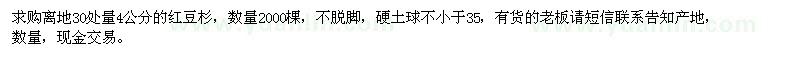 求購4公分的紅豆杉