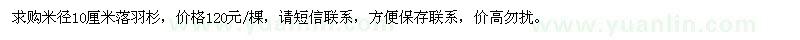 求購落羽杉