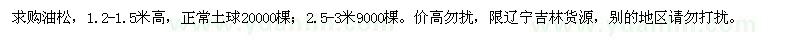 求購1.2-1.5米高油松