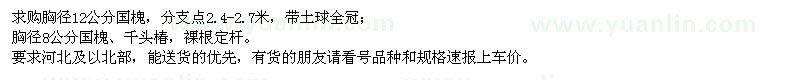 求購國槐