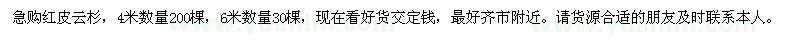 求購紅皮云杉