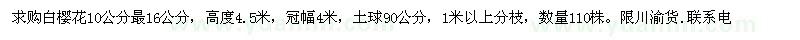 求購白櫻花10公分最16公分