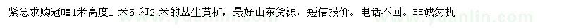 求購冠幅1 米高度1 米5 和2米的黃櫨