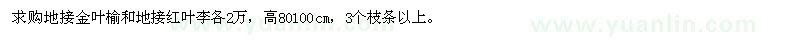 求購地接金葉榆和地接紅葉李各2萬