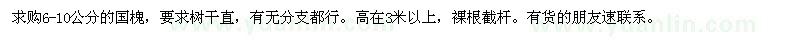 求購6-10公分的國槐