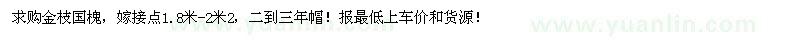 求購金枝國槐