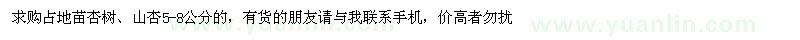 求購占地苗杏樹、山杏
