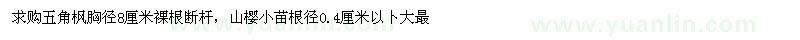 求購五角楓、山櫻小苗