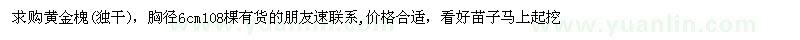 求購黃金槐胸徑6cm