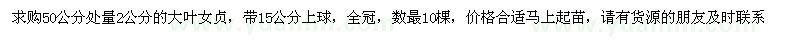 求購50公分處量2公分的大葉女貞